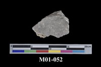 藏品(金礦)的圖片